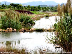 生態(tài)環(huán)境部出新規(guī)---《中華人民共和國(guó)土壤污染防治法》