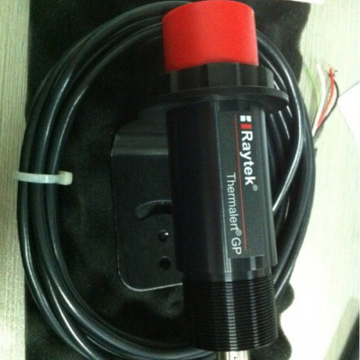 雷泰 GPRSFW固定式測溫探頭