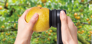 ATAGO愛宕水果糖度計(jì)檢測(cè)方法.png ATAGO愛宕水果糖度計(jì)檢測(cè)方法.png